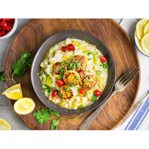 SFSH40033 [SEA SCALLOP-11/15] SEA SCALLOP 11/15